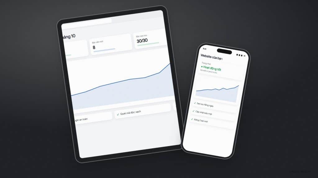 Chăm sóc website Hình ảnh Chăm sóc website 3