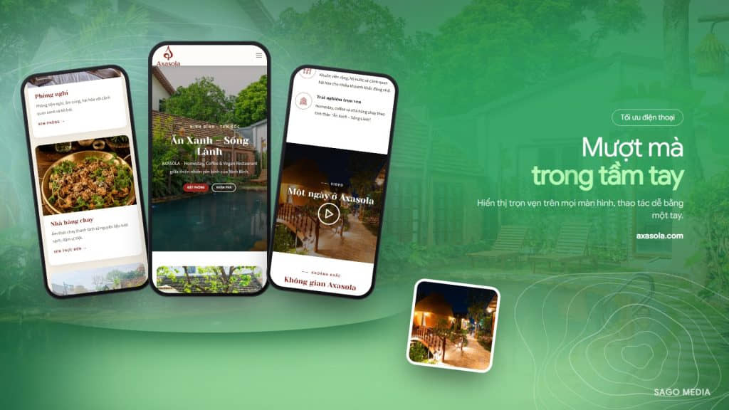 Axasola — giao diện website